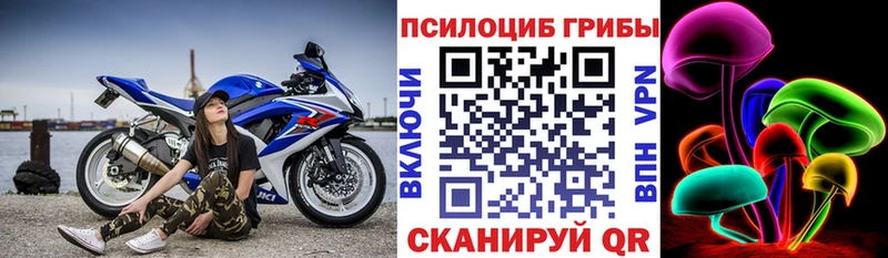 Галлюциногенные грибы мухоморы  как найти закладки  Дудинка 